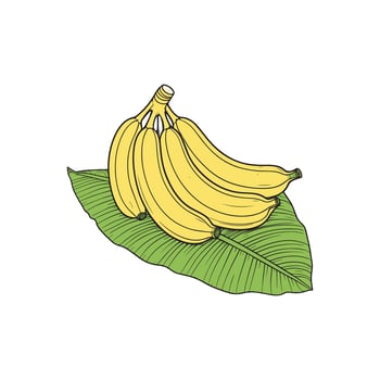 simple illustration bunch of bananas on banana leaves vector