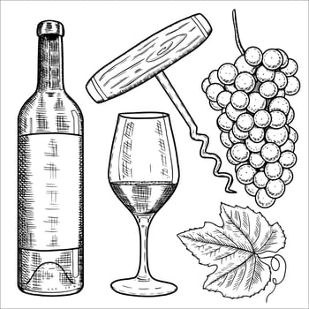 Set with a bottle of wine, glass, grapes, corkscrew. illustration vector
