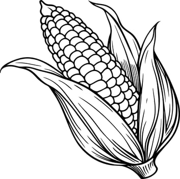 Corn on the cob coloring pages vector