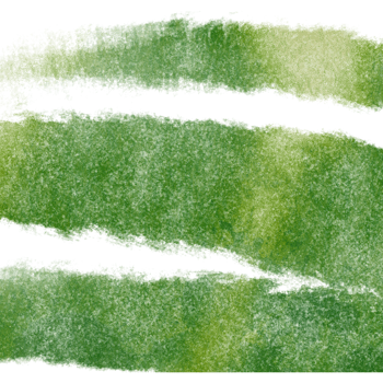 A rugged Green brush stroke with faded edges and a soft watercolor effect png