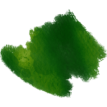 A soft Green stroke with smooth blending and rugged grunge textures png