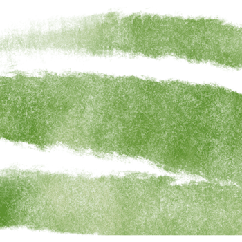 A stunning Green watercolor brush stroke with rugged hand drawn grunge details png