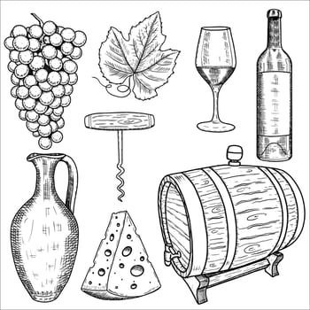 Set with a bottle of wine, glass, grapes, corkscrew, barrel, cheese. illustration vector