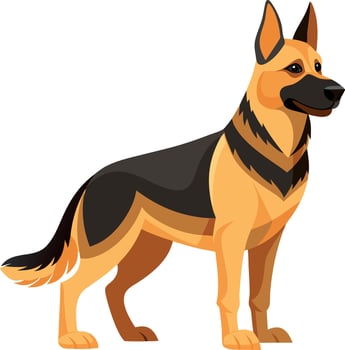 A large, black and tan German Shepherd stands in front of a white background vector