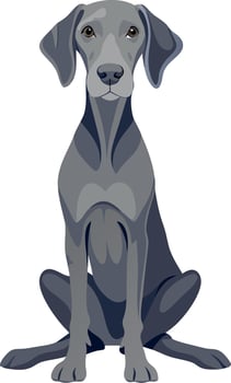 A grey dog is sitting on a white background vector