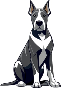 A dog is sitting on a white background vector