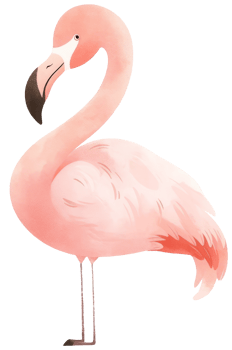 Watercolor flamingo animal isolated on transparent background, baby illustration png