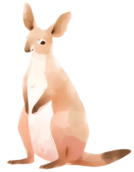 Watercolor kangaroo animal isolated on transparent background, baby illustration png