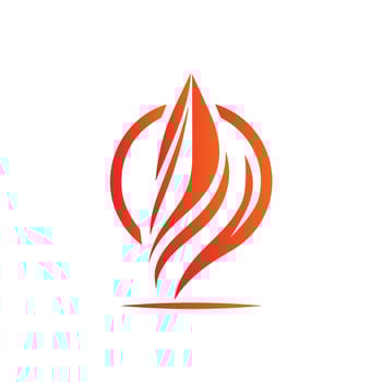 Dynamic Flame Logo in Vibrant Orange Design vector