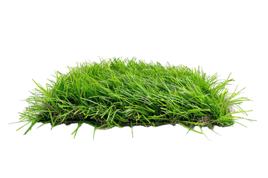Sample of green artificial grass for lawns. png