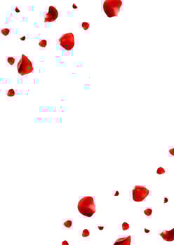 Realistic red rose petals flying around corner frame vector