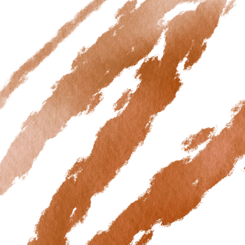 A raw Orange watercolor brush stroke with gritty hand drawn grunge effects png