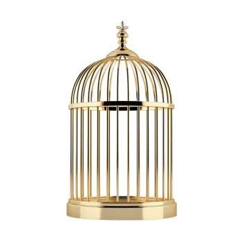 3D Empty gold Birdcage side view isolate on transparency background png