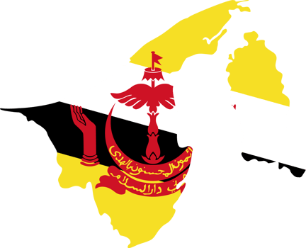 Brunei flag pattern on country map png