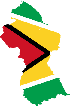 Guyana flag pattern on country map png
