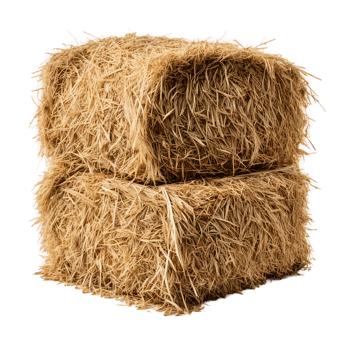 Hay Pile Isolated on Transparent Background png