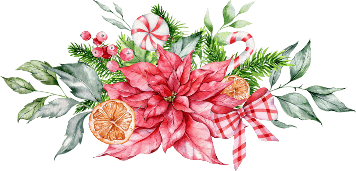 Christmas Flower Bouquet Hand Painted Watercolor Illustration. Winter Greenery. Poinsettia Flower Watercolor Bouquet png