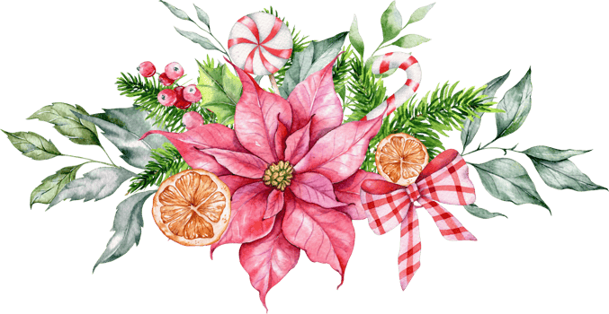 Christmas Flower Bouquet Hand Painted Watercolor Illustration. Winter Greenery. Poinsettia Watercolor Arrangement png