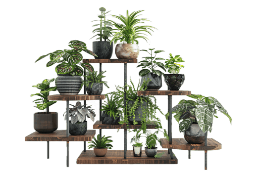Indoor potted plants on wooden display stand. png