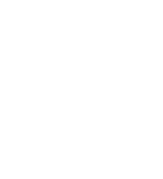a white snowflake png