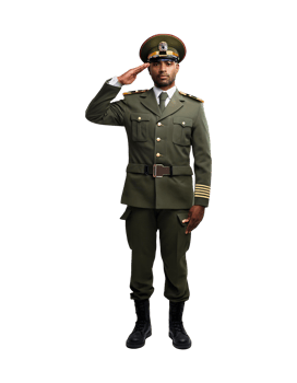 An image of a soldier saluting png