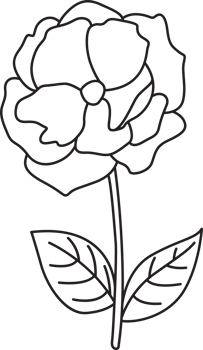 Flower drawing clip art png