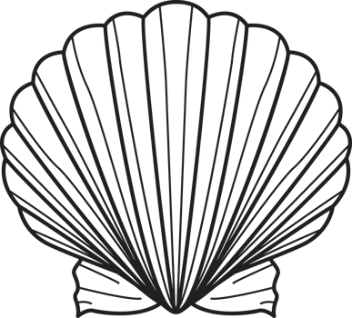 Seashell drawing clip art png