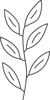 Branch drawing clip art png