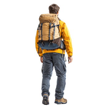 hiker man carrying backpack rear view isolate on transparency background png
