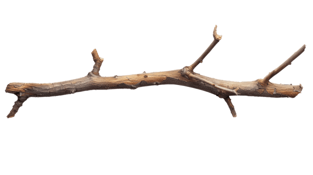 long wooden stick branche isolate on transparency background png
