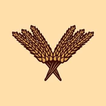 bunch of wheat art style sketch classic vintage design illustration vector
