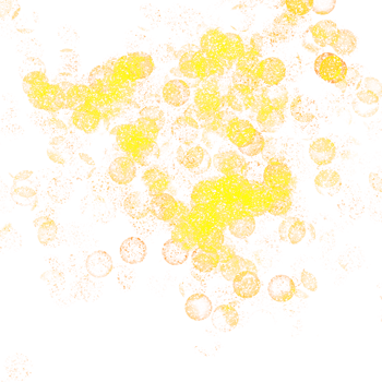 Illustration of golden bokeh lights vibrant and joyful celebration png