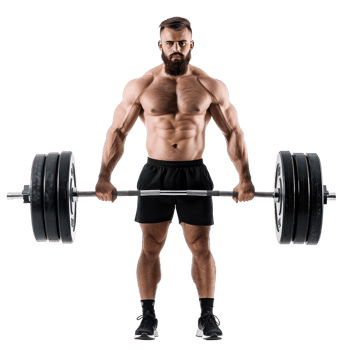 Young man with barbell training, weightlifting concept isolate on transparency background png