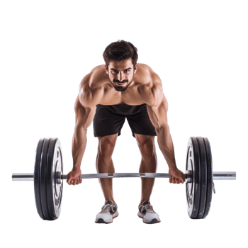 Young man with barbell training, weightlifting concept isolate on transparency background png