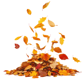 Autumn leaves fall on a pile front view isolate on transparency background png