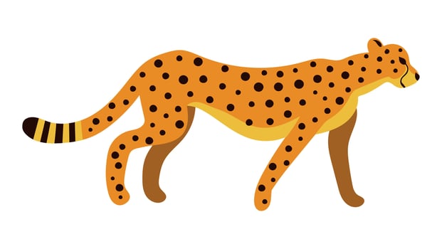 Hunting Cheetah or Leopard Cartoon Illustration Isolated on White vector