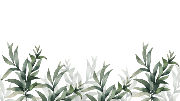 Border with green leaves and branches, illustration watercolor png