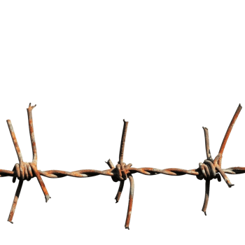 Old rusty barbed wire on a white background transparent png