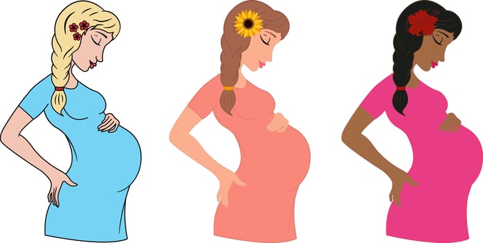 Young Pregnant Women vector