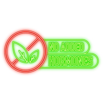 Neon Icon. No hormones, no antibiotics green rubber stamp on white background. Realistic object. illustration png