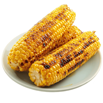 Grilled corn cobs on plate transparent background png