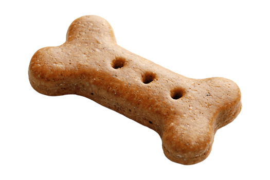 Dog biscuit shaped like a bone isolated on transparent background. png