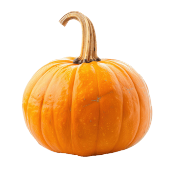 Orange pumpkin isolate on transparency background png