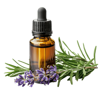Essential Oil with Sprigs of Fresh Rosemary front view isolate on transparency background png
