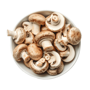 champignon mushrooms in a bowl top view isolate on transparency background png