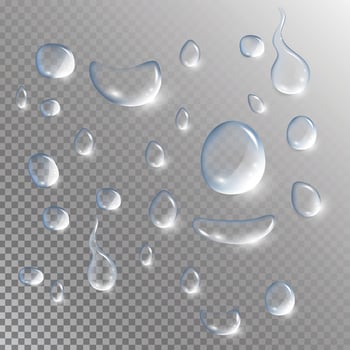 Realistic water drops dew vector