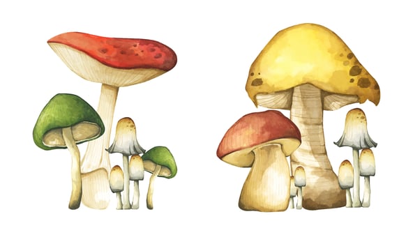 Mushroom growing in a forest elements illustration watercolor style collection. vector