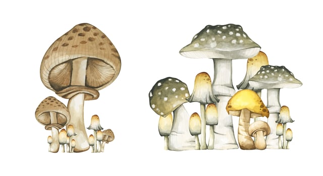 Set of bunch of mushrooms elements illustration watercolor style collection. vector
