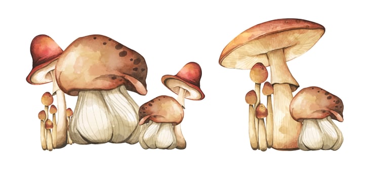 Variety of mushrooms elements illustration watercolor style collection. vector