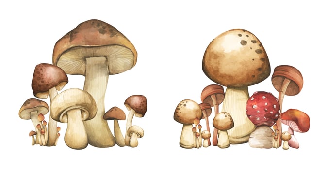 Set of Variety of mushrooms elements illustration watercolor style collection. vector